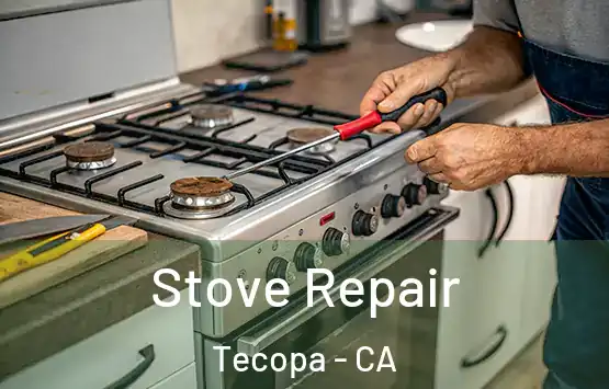  Stove Repair Tecopa - CA