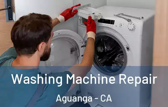  Washing Machine Repair Aguanga - CA