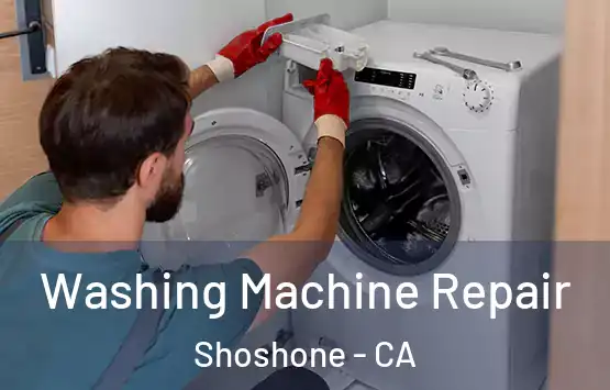  Washing Machine Repair Shoshone - CA