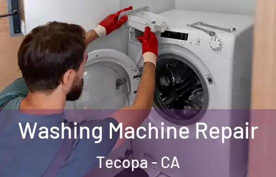  Washing Machine Repair Tecopa - CA