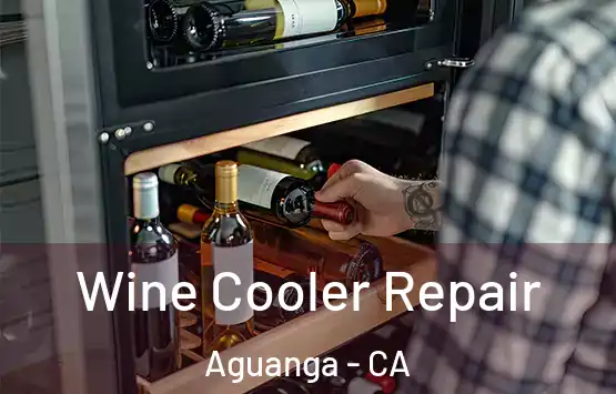  Wine Cooler Repair Aguanga - CA