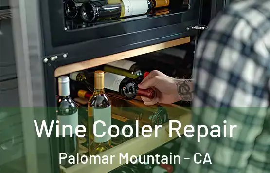  Wine Cooler Repair Palomar Mountain - CA