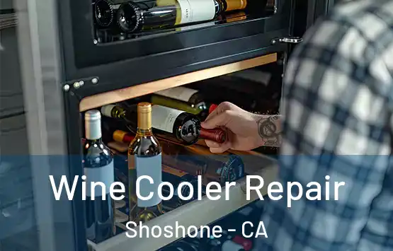  Wine Cooler Repair Shoshone - CA