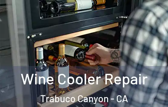 Wine Cooler Repair Trabuco Canyon - CA